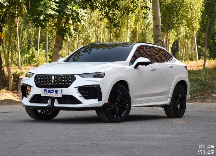 gt巴博斯的外观增加了更加运动的配件,呈现出较为强烈的运动感,汽车