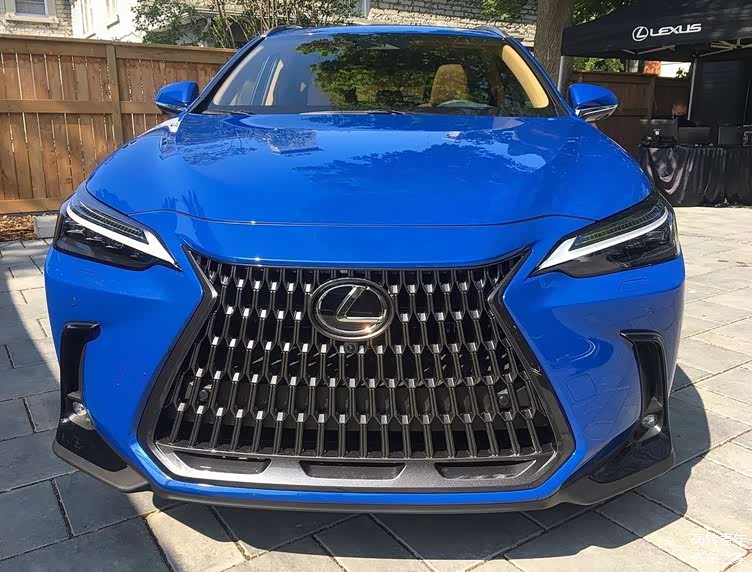 全新雷克萨斯nx蓝色海外实车!整体风格变化小!