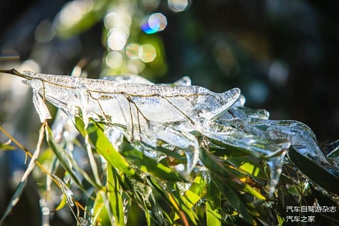 宜兴湖13深氧小镇的文艺时光