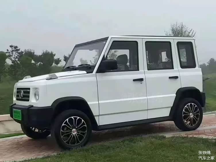 "老头乐"要转正了?工信部出台新规,低速电动车或将合法上路