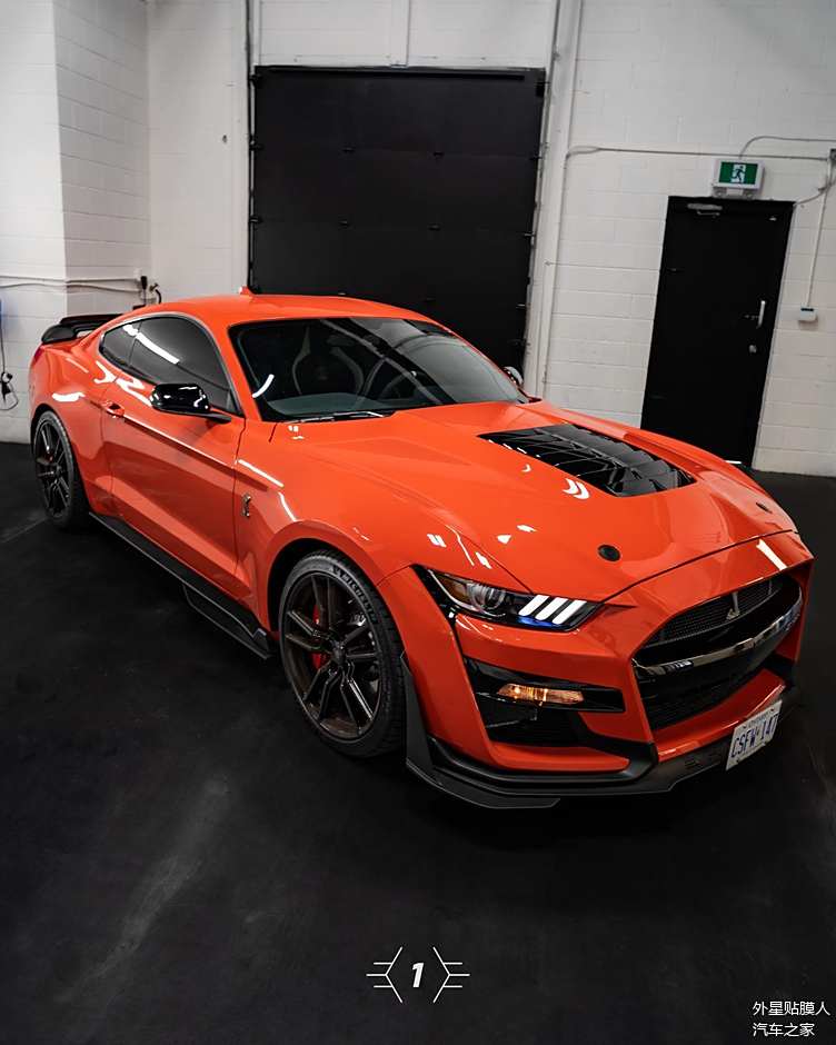 xpel汽車窗膜與福特野馬眼鏡蛇mustangshelbygt500