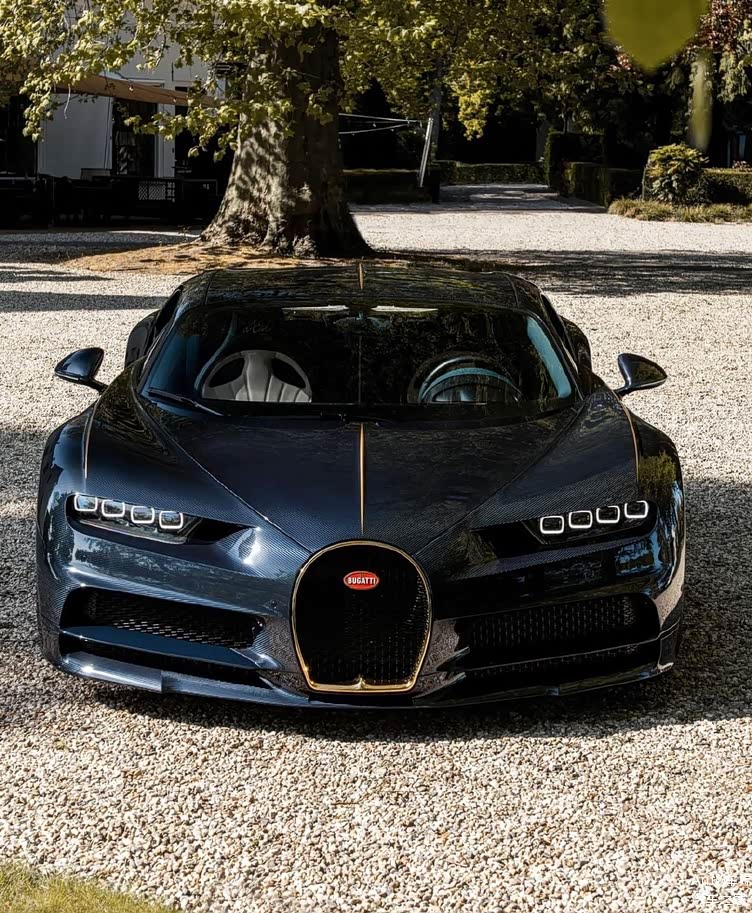 布加迪chiron l07bé特别版 全球限量3台 67676767_车家号