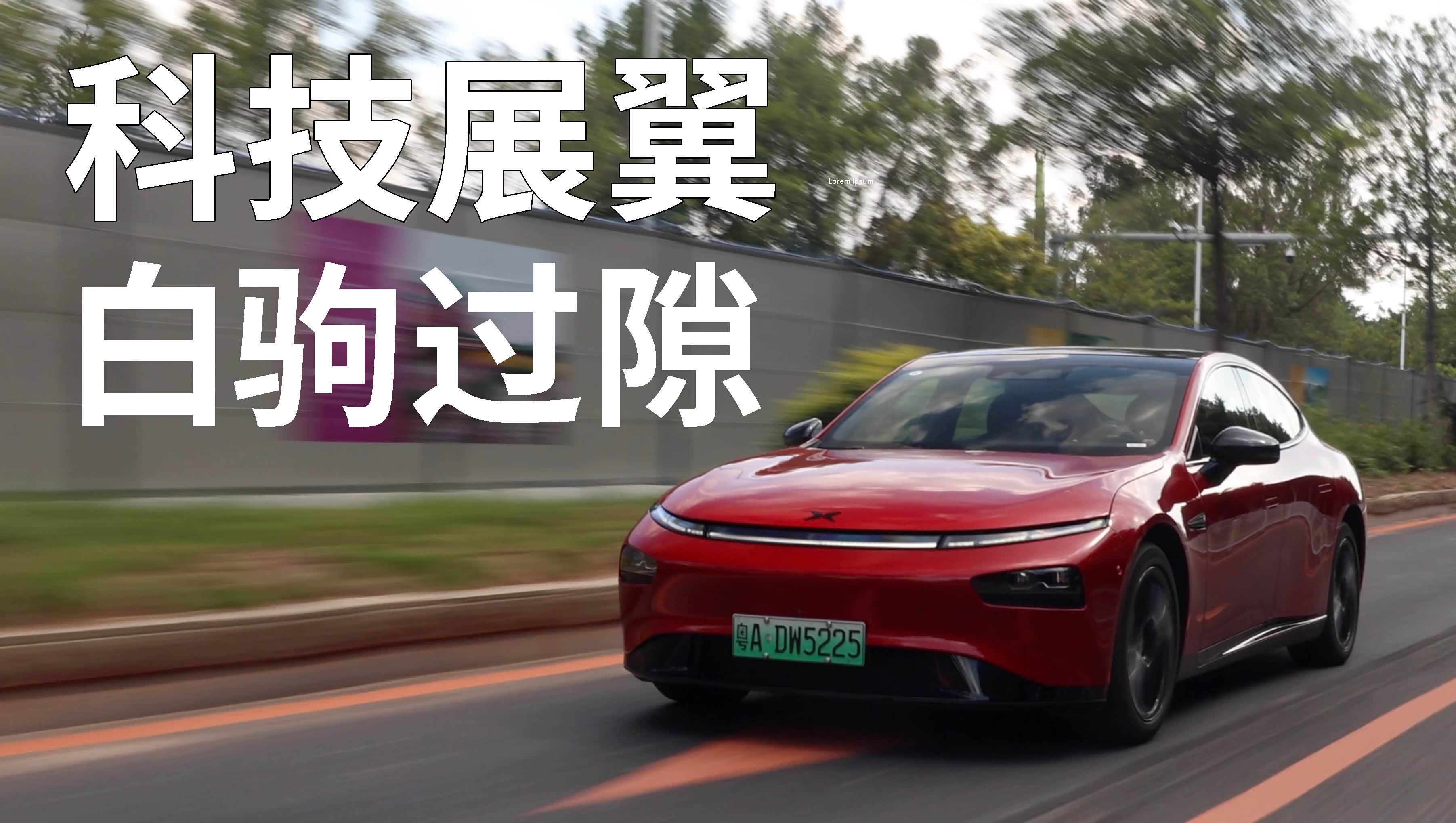 缸鱼排行_十缸鱼试车笔录_车家号_发现车生活_汽车之家