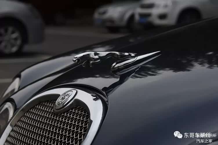 捷豹s-type:流淌着美国血液的"美洲豹"