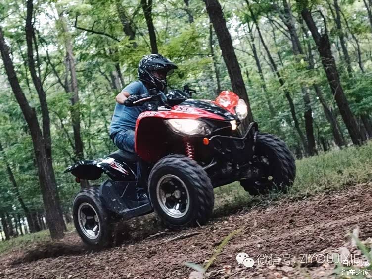 猫出没请注意北极猫utvatv试驾