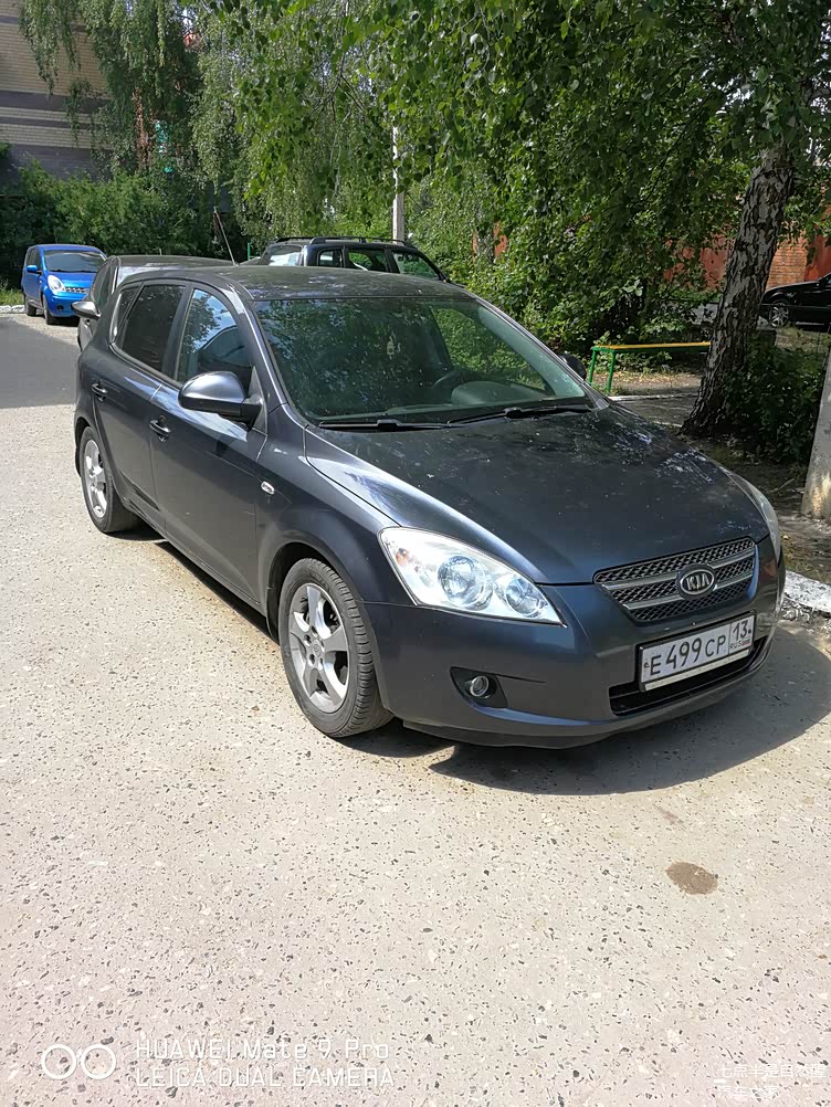 起亚ceed大奶牛不错一年吃不了几次冰激凌好好感受感受俄罗斯的大奶牛