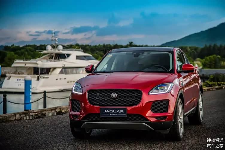 阮经天代言的这款小豹子究竟有何魅力